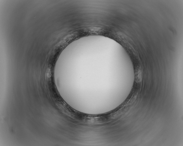 X0000112960472200909171301