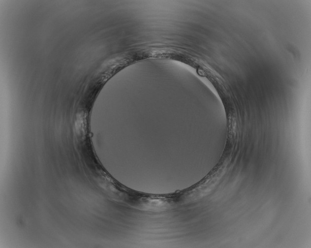 X0000112960475200909171301