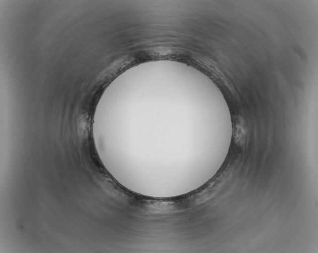 X0000112960476200909171301