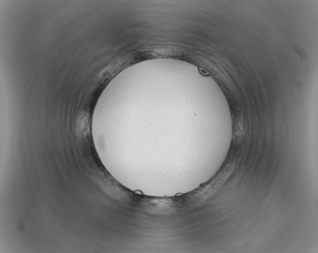 X0000112960478200909171301