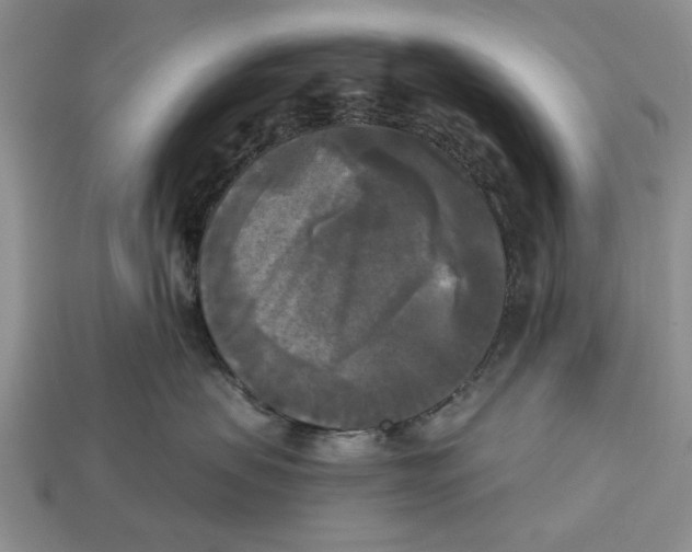 X0000112960479200909171301