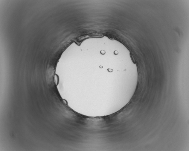 X0000112960480200909171301