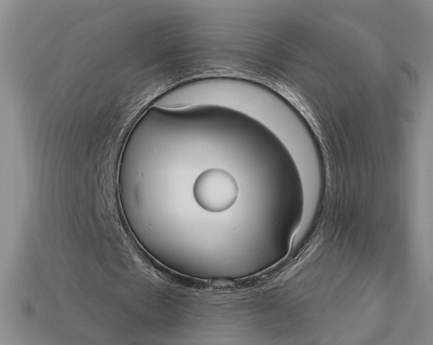 X0000112960481200909171301