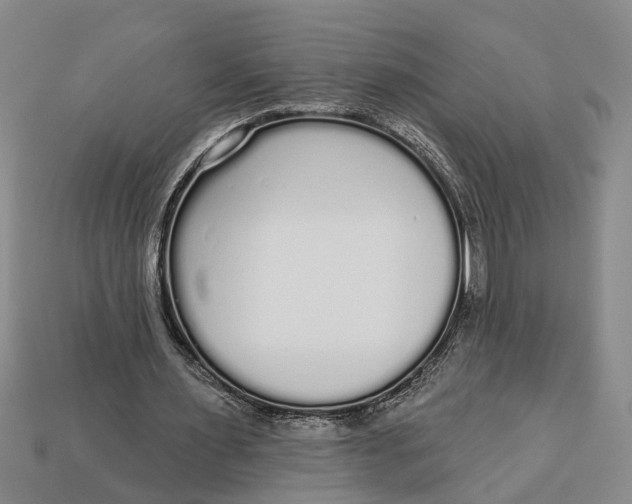 X0000112960483200909171301