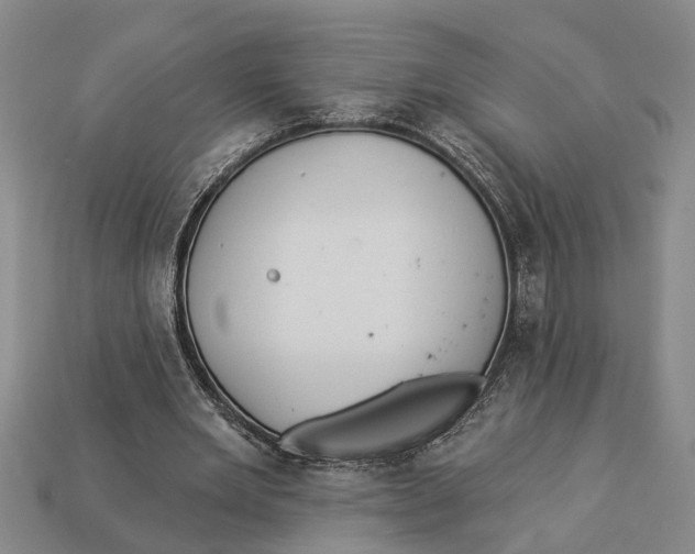 X0000112960485200909171301