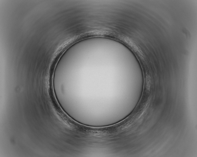 X0000112960486200909171301