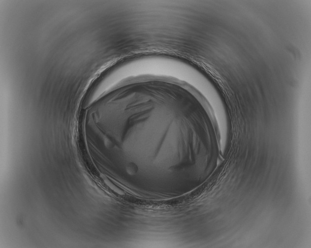 X0000112960488200909171301