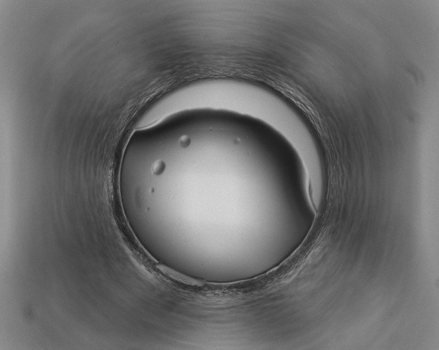 X0000112960489200909171301