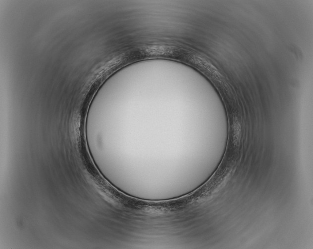 X0000112960490200909171301