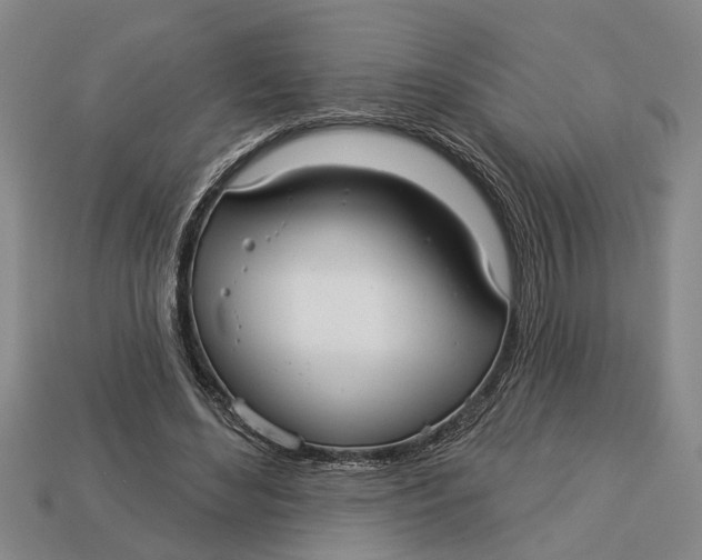 X0000112960492200909171300