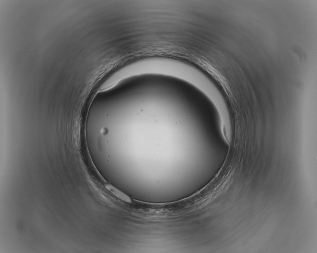 X0000112960493200909171300