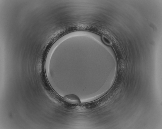 X0000112960496200909171300