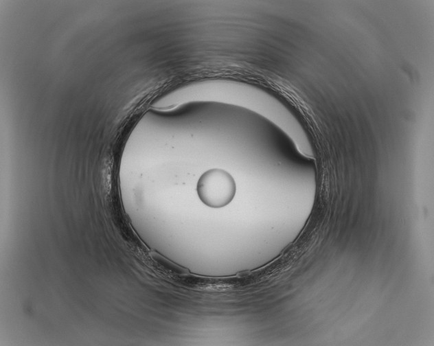 X0000112960501200909171300