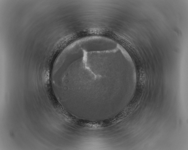 X0000112960502200909171300