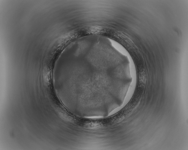 X0000112960503200909171300