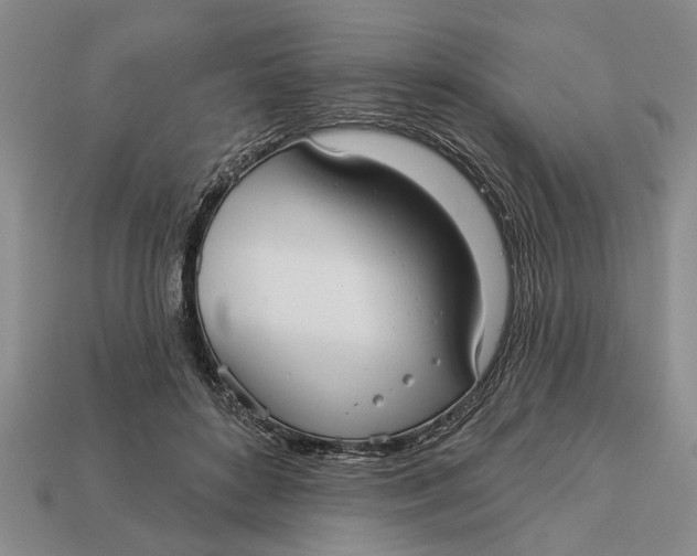 X0000112960504200909171300