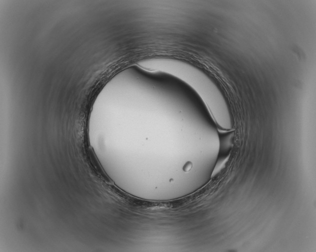 X0000112960505200909171300