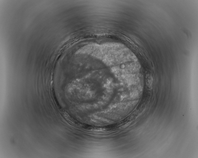 X0000112960507200909171300