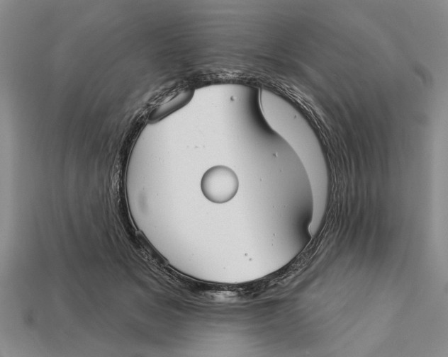 X0000112960509200909171300