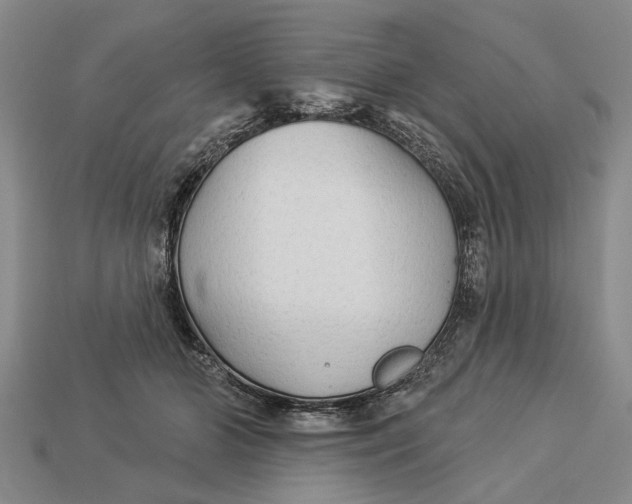 X0000112960510200909171300