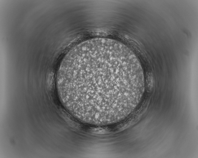 X0000112960511200909171300