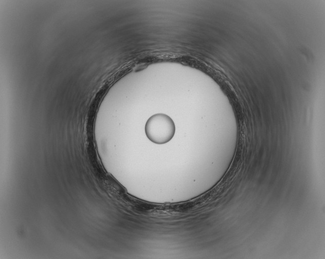 X0000112960512200909171300