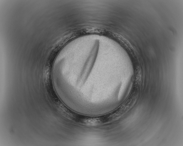 X0000112960513200909171300