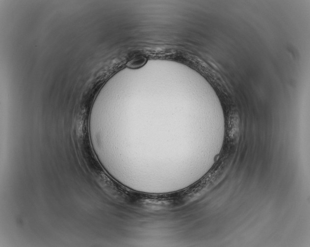 X0000112960515200909171300