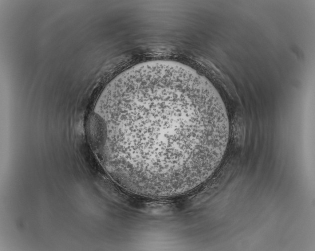 X0000112960516200909171300