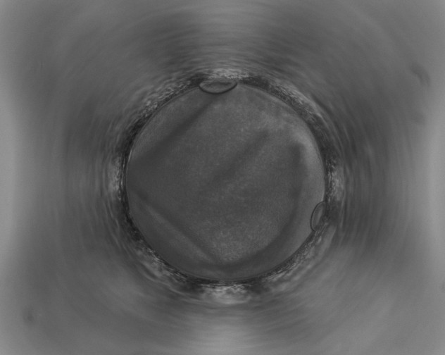 X0000112960517200909171300