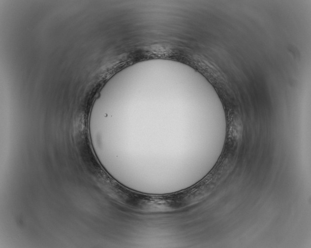 X0000112960518200909171300