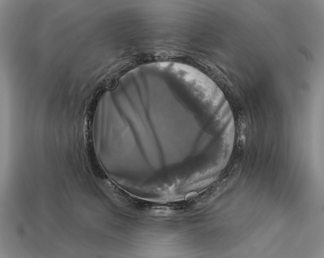 X0000112960519200909171300