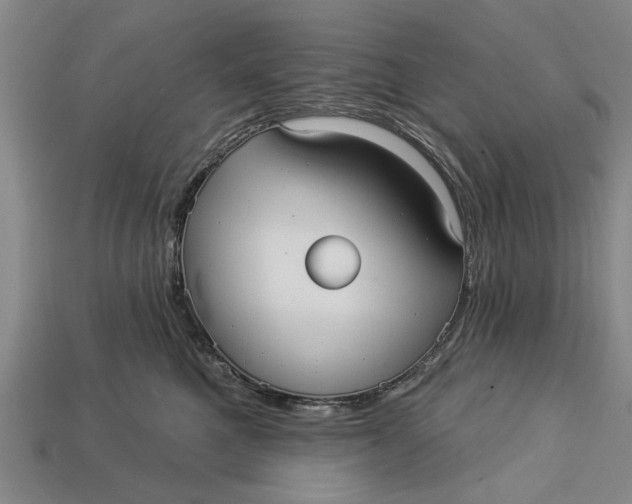 X0000112960521200909171300