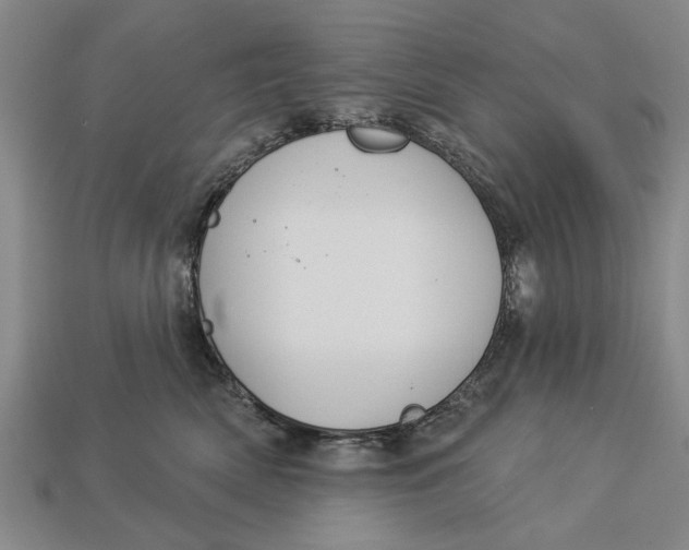 X0000112960522200909171300