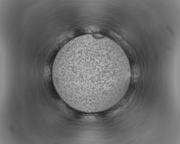 X0000112960523200909171300