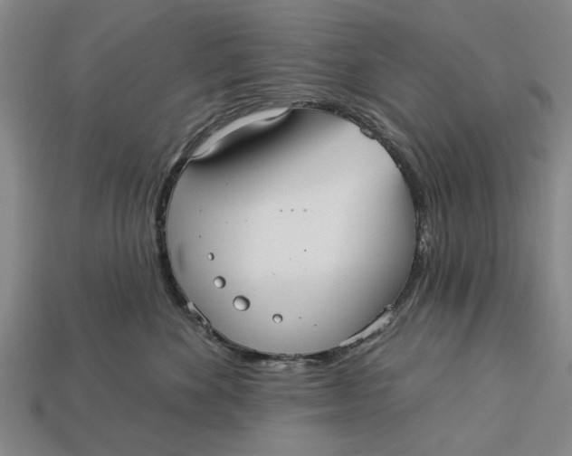 X0000112960524200909171300