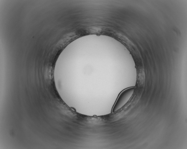 X0000112960525200909171300