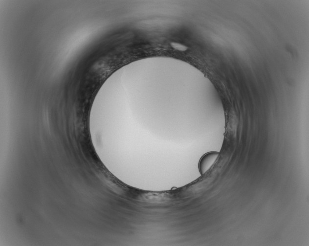 X0000112960526200909171300