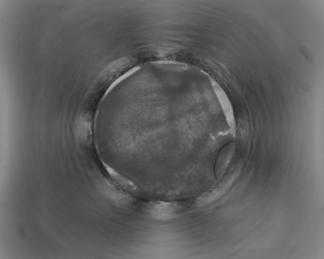 X0000112960527200909171300