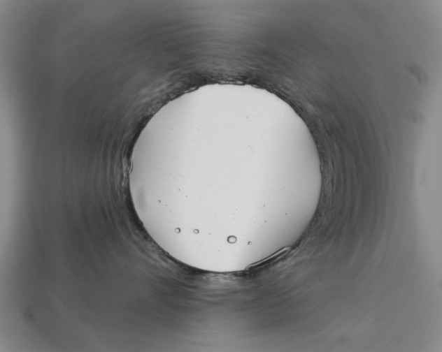 X0000112960528200909171300