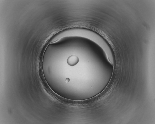 X0000112960530200909171259