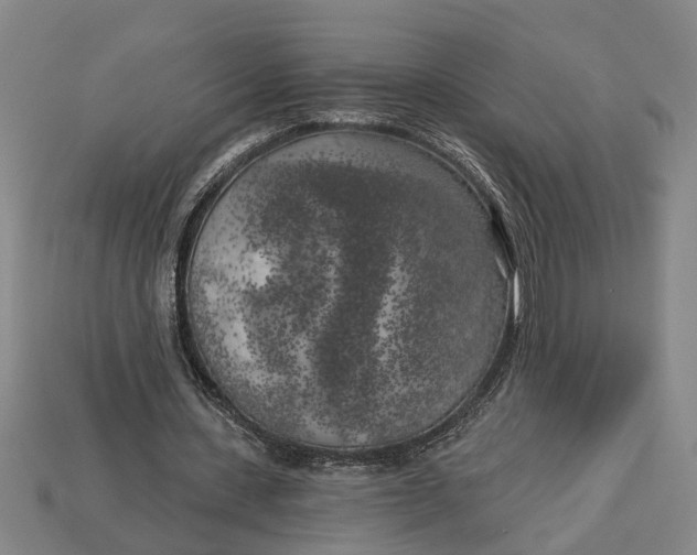 X0000112960531200909171259