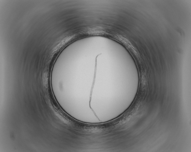 X0000112960533200909171259