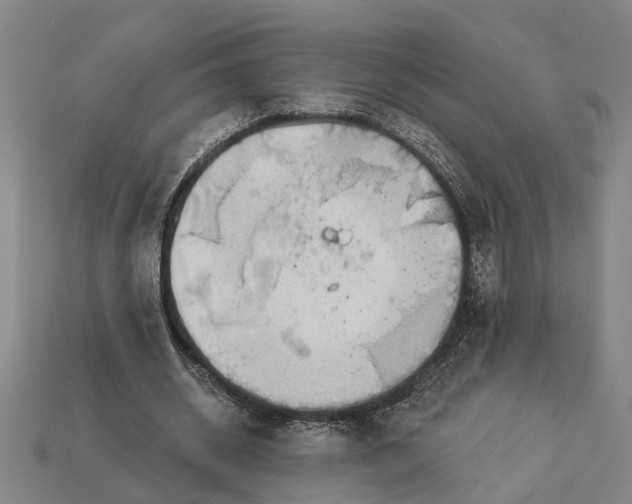 X0000112960534200909171259