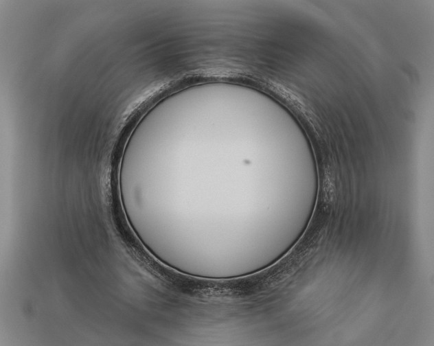 X0000112960535200909171259