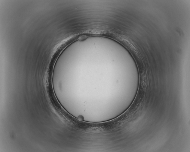 X0000112960536200909171259