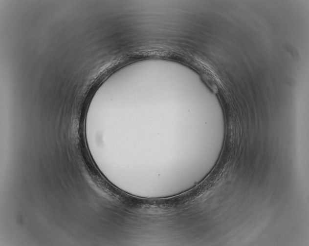 X0000112960538200909171300