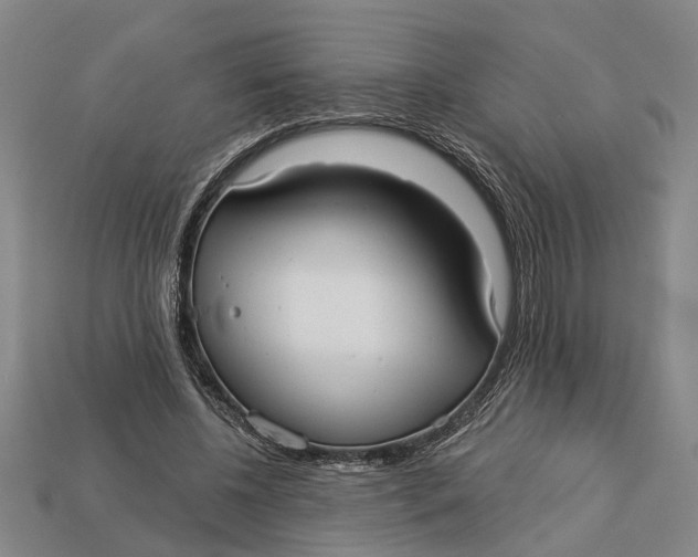 X0000112960540200909171300