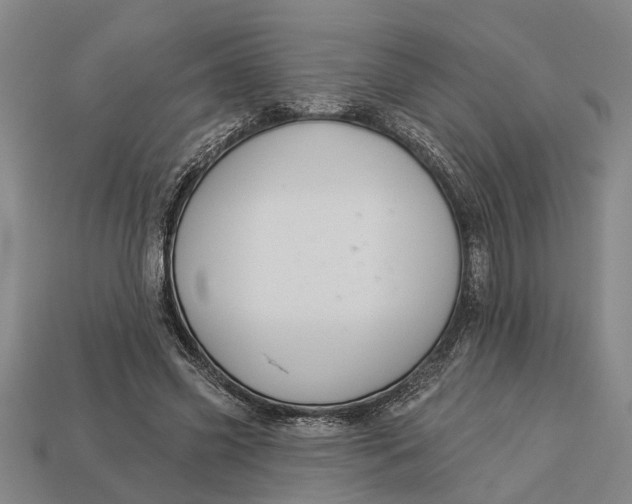 X0000112960541200909171300