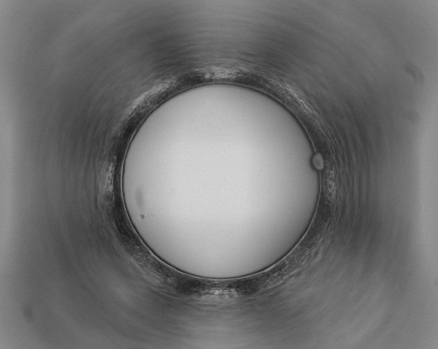 X0000112960543200909171300